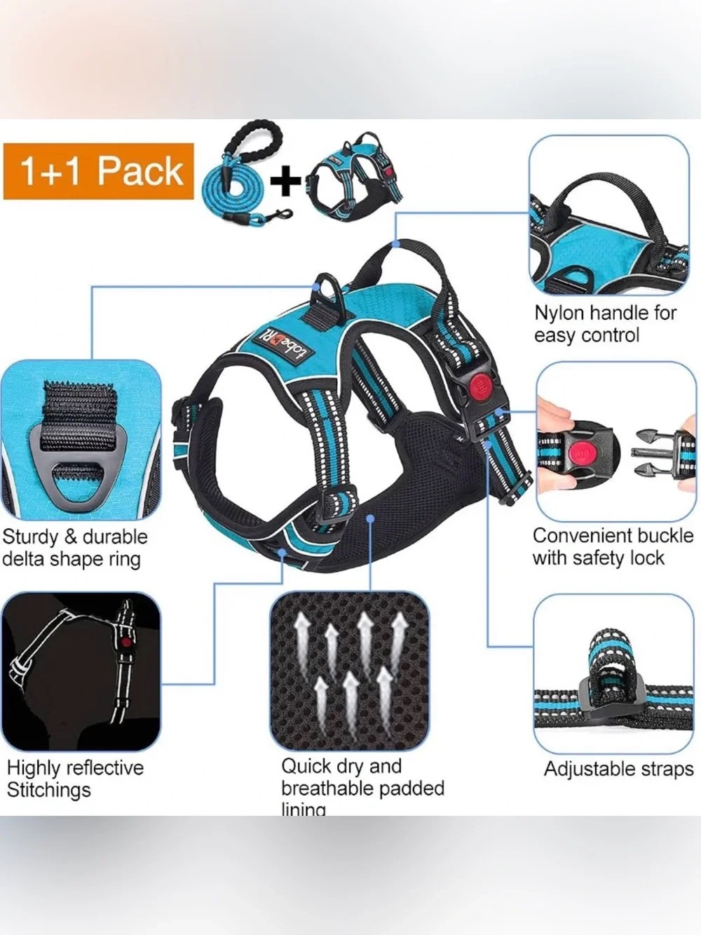 Blue Dog Large Harness and Leash Set
